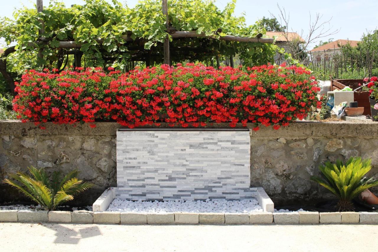 Il Violino Degli Dei Holiday House 아제롤라 외부 사진